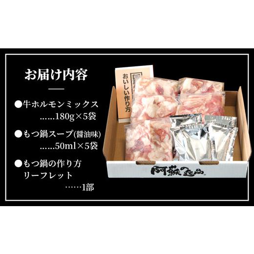 ふるさと納税 熊本県 美里町 国産牛もつ鍋セット(2人前×5回分) モツ鍋