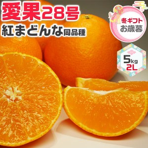 みかん 愛果28号 あいか (紅まどんな同品種) 5kg 2Lサイズ 家庭用 松山市…