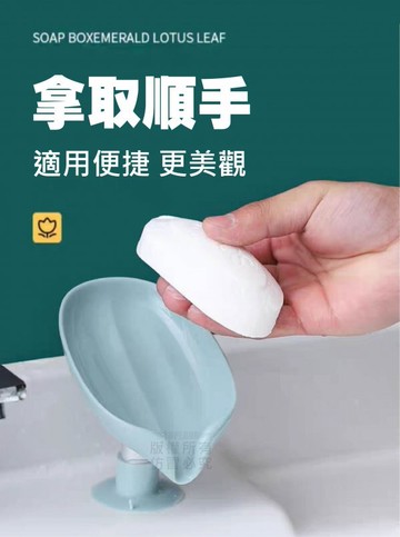 現貨荷葉好瀝水吸盤置物皂盒