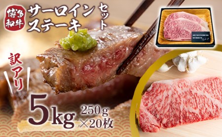 訳アリ！博多和牛サーロインステーキセット 5kg（250g×20枚） DX034