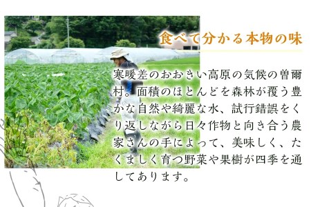 曽爾高原夏野菜５種５品３ヶ月定期便