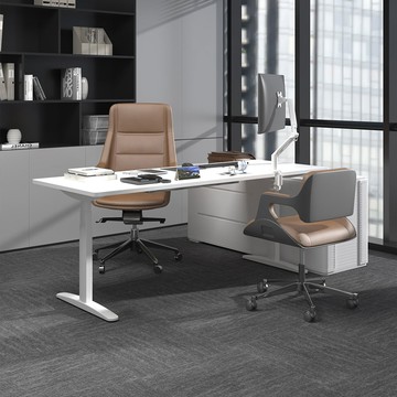 Flexispot 三節式電動升降桌組 ( 附磁吸線槽收納盤、USB 充電孔）－120 x 60 桌板