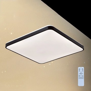 120W 遙控吸頂燈 L01-2541F