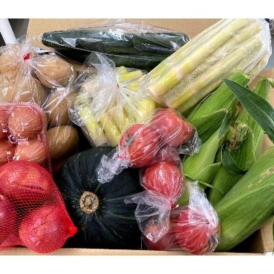 ふるさと納税 西之表市 種子島発　旬の野菜と玉子セット