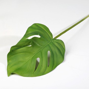 Single Monstera Leaf