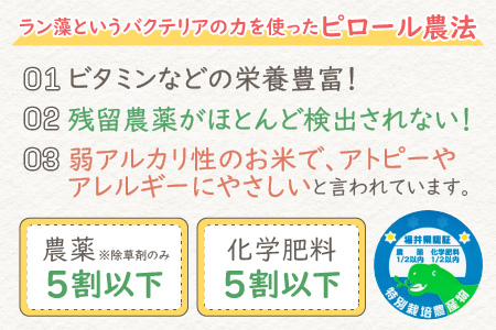 ミネラル豊富！弱アルカリ性のピロール米 ミルキークイーン 玄米 10kg（5kg×2袋）× 12回　計120kg 化学肥料5割以下・減農薬