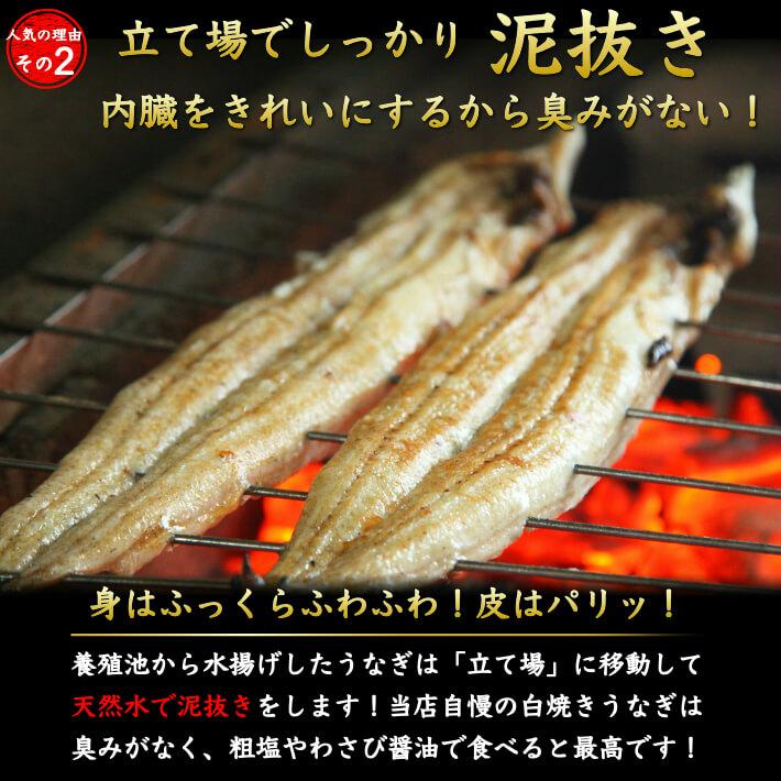 国産 うなぎ 蒲焼き 超特大 3尾 誕生日 プレゼント ギフト 贈答用 送料無料