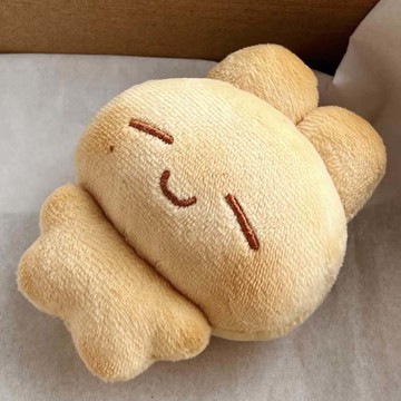 ⭐韓國代購正版⭐seventeen棉花娃娃尹淨漢洪知秀現烤小兔小狗10cm