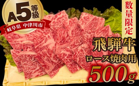 「飛騨牛」A5等級 ロース 500g 鉄板焼き 網焼き 焼肉 バーベキュー BBQ 28-010