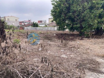 柳營建地.吳晉淮故鄉.尊貴生活的起點｜台南市柳營區雙和段
