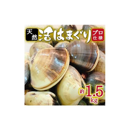 ふるさと納税 千葉県 いすみ市 ＜10月上旬より順次発送＞天然はまぐり約1.5kg (千葉県産)