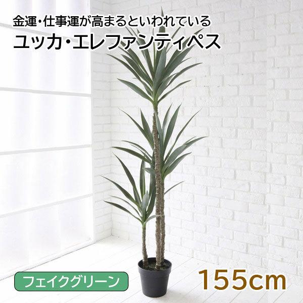 造花（アーティフィシャルフラワー） 人工観葉植物 高さ～200cm-