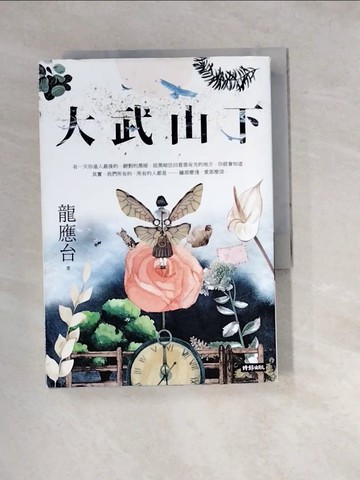 【書寶二手書T4／一般小說_W2M】大武山下【繽紛版書封】_龍應台