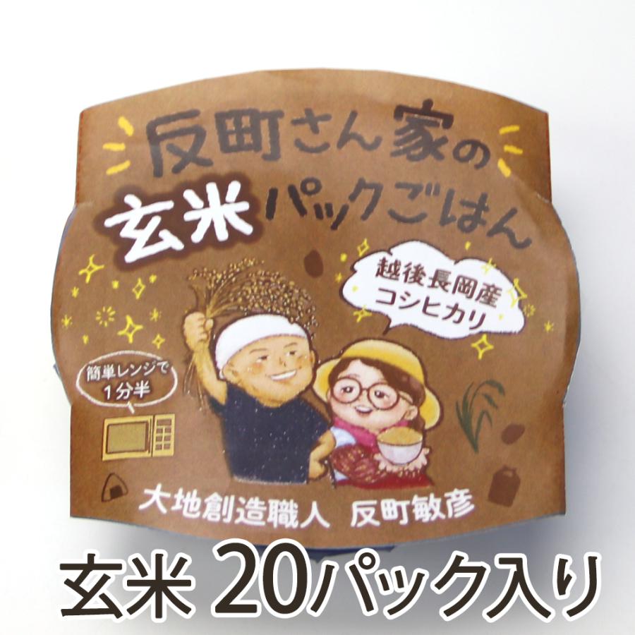 パックご飯 玄米 20パック入り 大地創造職人 反町敏彦 送料無料