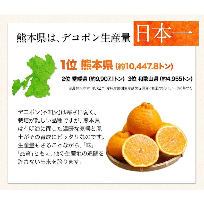 熊本県産 デコポン 優品 約1.8kg前後〜約2kg前後 送料無料 個別光センサー選果 高品質保証 贈答用 ギフト  12月中旬-12月末頃より発送予定