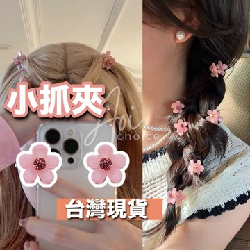 【台灣現貨】迷你抓夾 小抓夾 瀏海夾 抓夾 髮夾 小髮夾 瀏海髮夾 瀏海抓夾 髮飾 小花抓夾 髮夾韓國 抓夾小 邊夾