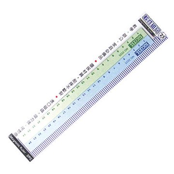 成功SUCCESS有刻度磁尺/2225/25cm/2入