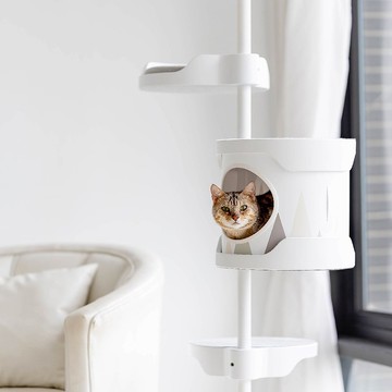 【快速出貨】抱抱貓跳台-標準款 | 頂天立地 極穩耐重