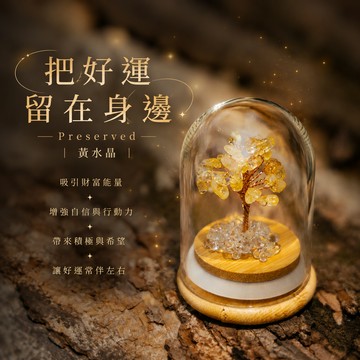 💛枝上結晶，桌上生財🌱【Montagne｜免運】Preserved｜黃水晶｜財富。運勢