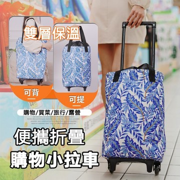 【隔日到貨】摺疊購物車 買菜車 承重20kg 推車 窄推車 拉桿推車 小推車 買菜推車 折疊拉桿車 購物推車 折疊買菜車