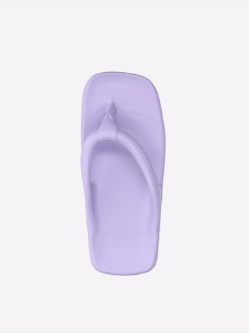 Square Z Flip Flops_Lavender