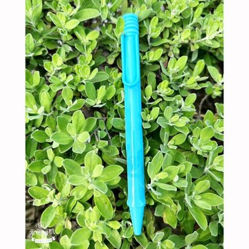 LAMY2023 SAFARI special edition 原子筆 春日藍