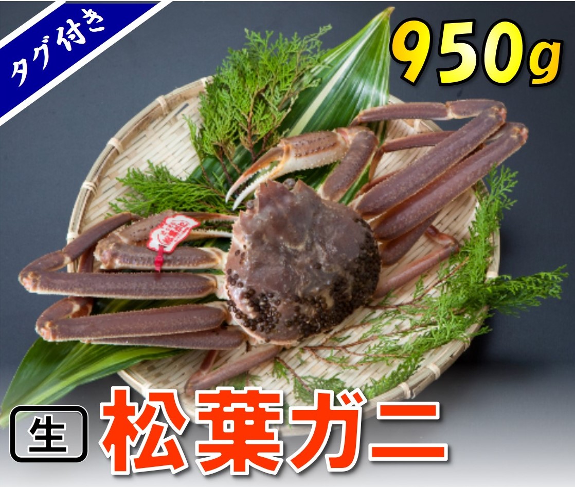 1130 タグ付き生松葉ガニ(特大950ｇ)