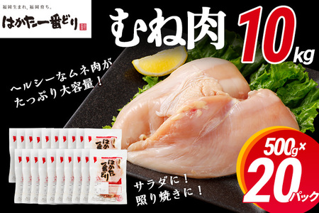 あらい はかた一番どり胸肉10kg(500ｇ×20パック)＜2024年2月以降順次発送予定＞