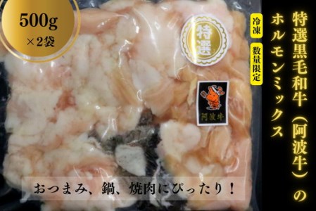 ホルモン ミックス  1kg 500g×2袋 黒毛和牛 冷凍 (人気国産ホルモン 大人気国産ホルモン 国産ホルモン ミックスホルモン 国産ホルモン 牛ホルモン ホルモン揚げ ホルモン炒め ホルモン焼き ホルモン焼肉 ホルモン鍋  ホルモン小分けパック ホルモンパック ホルモンセット ホルモン小分けセット ホルモンセット ホルモンミックス 冷凍ホルモン バーベキューホルモン BBQホルモン)※離島への配送不可