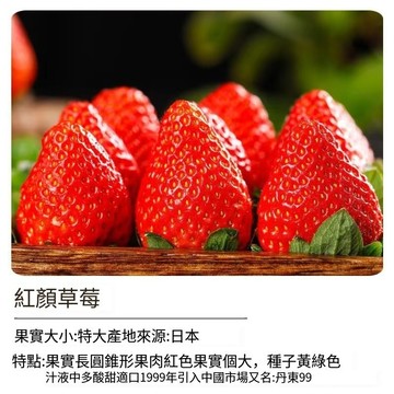 🍓【四季可種】台灣現貨 紅色戀人草莓種子 家庭盆栽 陽台種植 水果自己種 療癒盆栽  可食用 觀賞植物 室內外皆宜