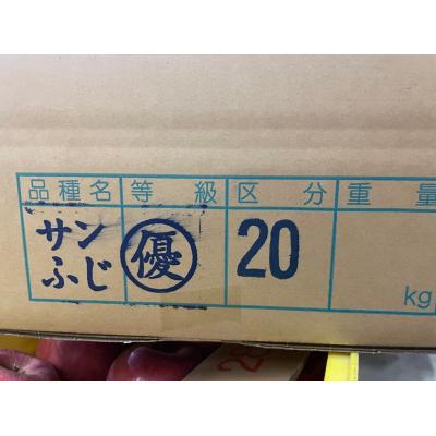 ふるさと納税 立科町 ふじ(約5kg、優20玉)