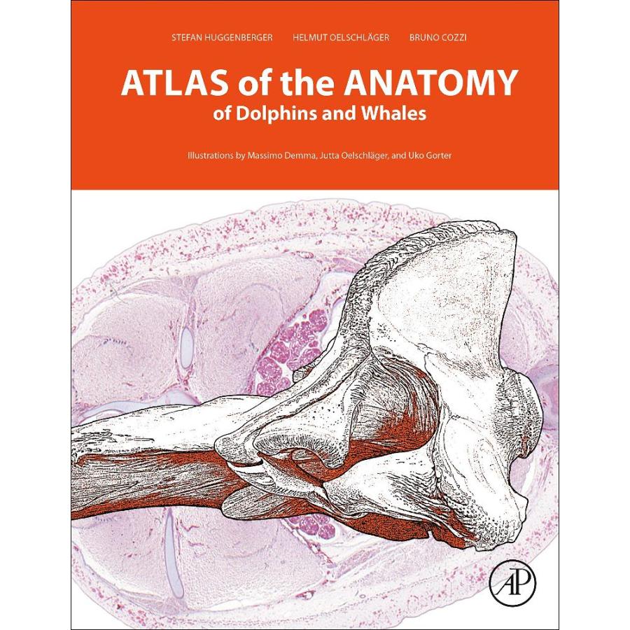 Atlas of the Anatomy of Dolphins and Whales