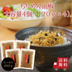 ちりめん山椒120g×4個セット ちりめん 山椒 佃煮 ふりかけ メール便 お試し ご飯のお供 おうちごはん おにぎり