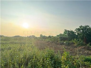 未來捷運G14站旁蘆興段農地｜桃園市蘆竹區蘆興段