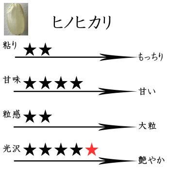 新米 ヒノヒカリ ●玄米20kg(10kg×2) 滋賀県彦根産 西村悟 令和5年産 環境こだわり農産物