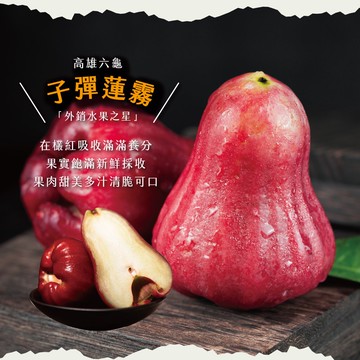 【初品果】高雄六龜子彈蓮霧禮盒2斤12粒x2盒 _D+7出貨陸續出貨