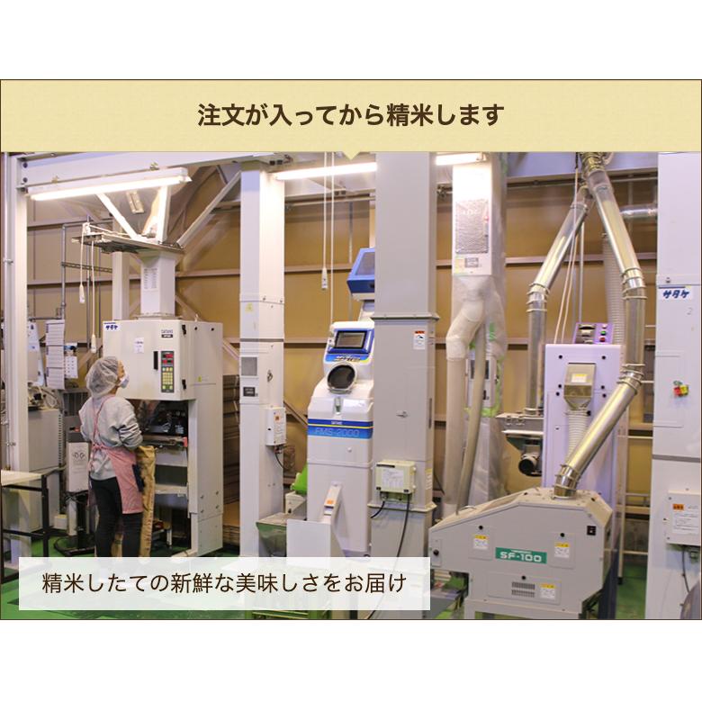 特別栽培米（減農薬・減化学肥料）新潟県産コシヒカリ 精米5kg 株式会社 蛍の里 のし無料 送料無料