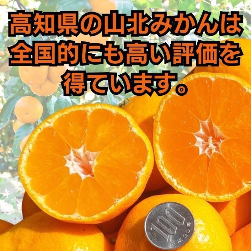 山北みかん　MSサイズ限定5kg みかん蜜柑 中級品　高知産