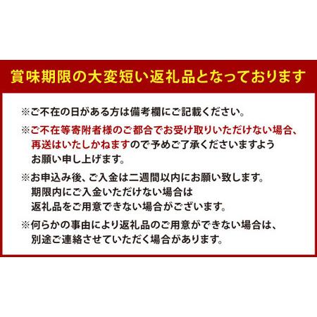 ふるさと納税  天姫 (あまひめ) イチゴ 200g×4パック 福岡県北九州市