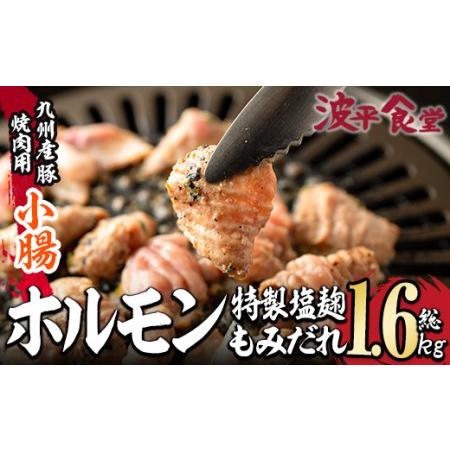 ふるさと納税 特製 塩麹もみだれ 九州産豚ホルモン 小腸 (計1.6kg・320g×5P) 国産 大分県産 豚 ホルモン 小分け 冷凍 味付け おつまみ 大分.. 大分県佐伯市