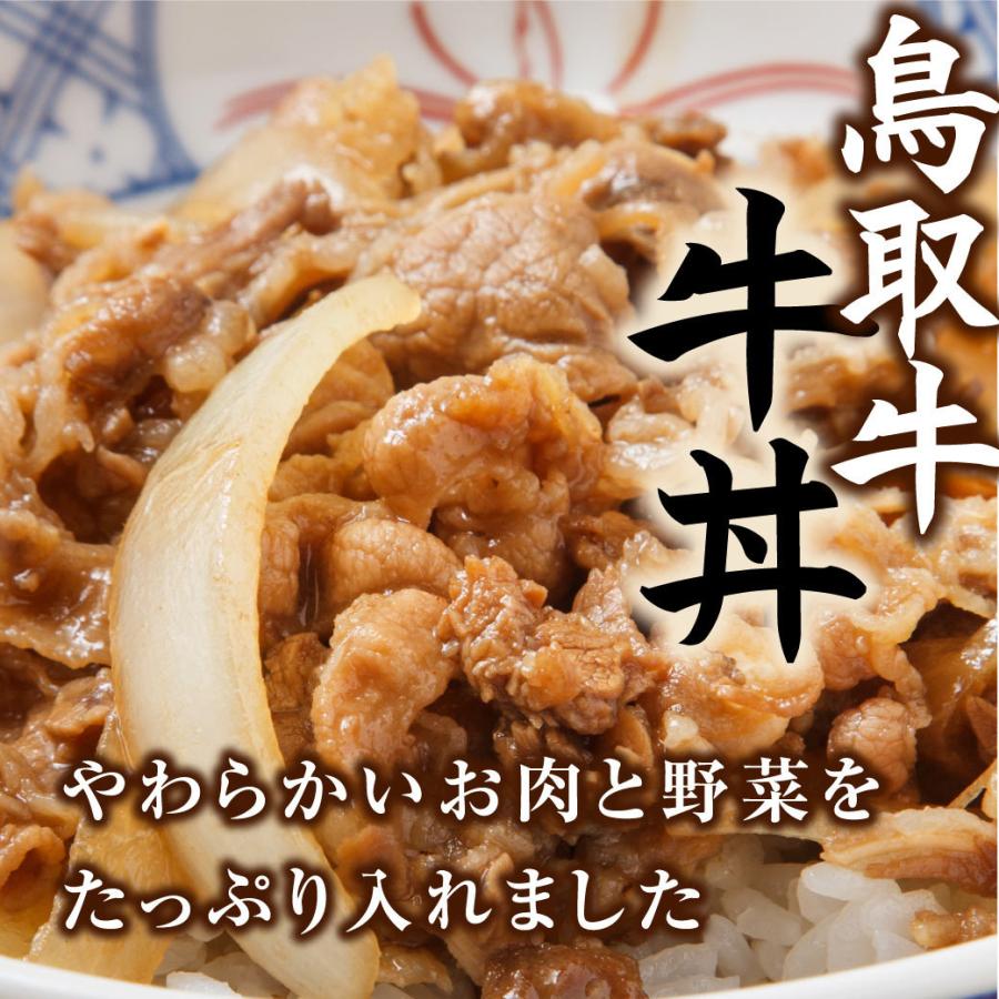 牛丼 豚丼 とり丼 丼の素 セット 9個入 牛肉 豚肉 鶏肉 鳥取牛 惣菜 国産牛 鳥取県産 ギフト 送料無料（北海道・沖縄を除く）