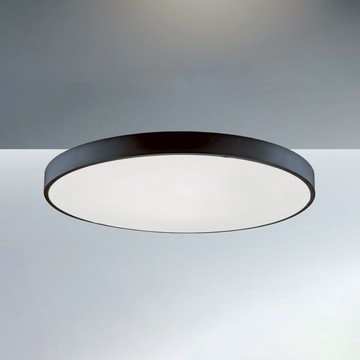 55W 遙控吸頂燈 C03-13-64204