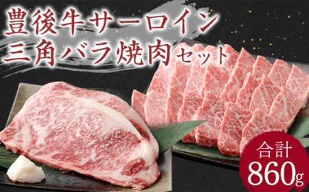 豊後牛 サーロイン・三角バラ 焼肉 セット 860g 牛肉 大分県