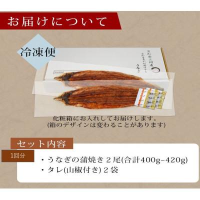 ふるさと納税 西尾市 三河産うなぎ「超特大蒲焼き2尾」×6回(隔月1回　1年間)・A133-102