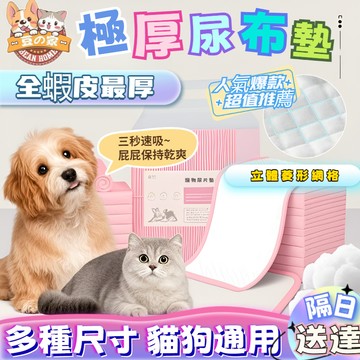🔥蝦皮最低價+隔日達✅寵物尿布墊 狗狗尿布墊 尿布墊 狗狗尿墊 寵物尿墊 尿墊 尿布 狗尿布 尿布墊寵物 狗尿布墊