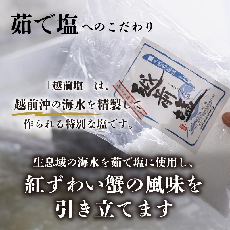 カニ かに 蟹 紅ズワイガニ ベニズワイガニ  越前産 5杯 茹で 冷蔵 送料無料 内祝い お歳暮 プレゼント ギフト