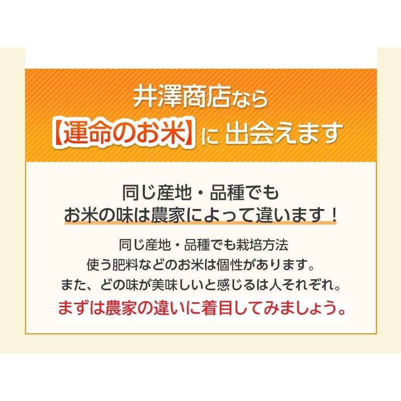 ＼新米入荷／米 玄米 30kg キヌヒカリ 玄米 白米 選択可 厳選農家 令和5年兵庫県産 産地直送