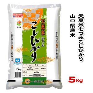 山口県産米 ／ 天恵米むつみ こしひかり 5kg ／お米：農協直販