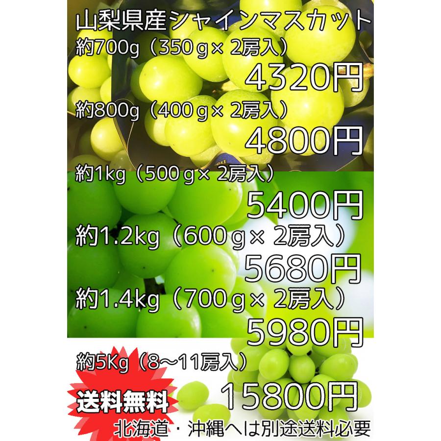 ぶどう シャインマスカット 山梨県産 シャインマスカット 2房入　800g 希少品種 ギフト 敬老の日 マスカット クール便 送料無料 8月下旬頃より販売