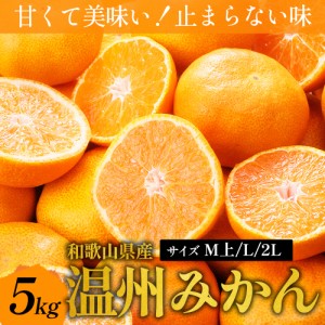 温州みかん 5kg M上 L 2L 甘くて美味い！止まらない味 和歌山 みかん 蜜柑 新鮮 ビタミン 果物